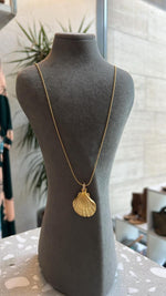 Seashell ZC Bail Bubble
