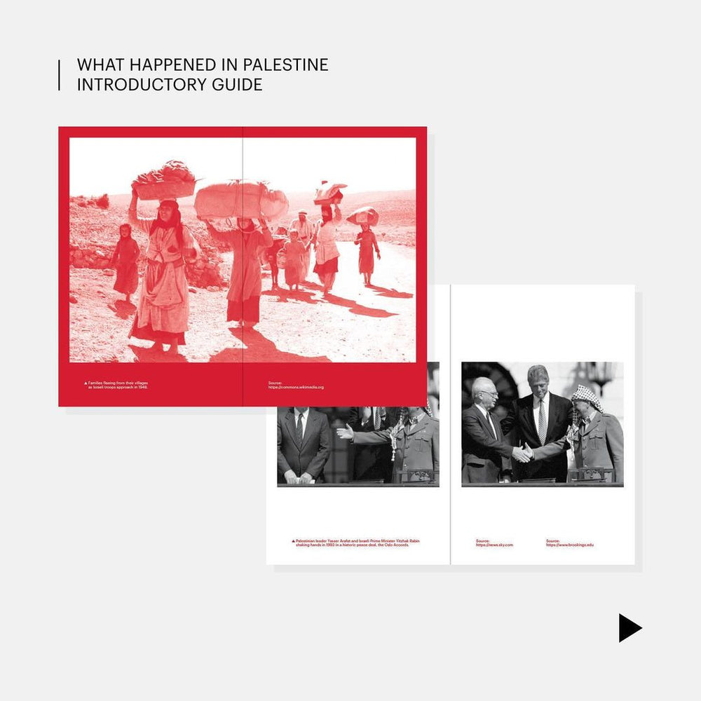 Book "What Happened in Palestine"