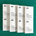 Book "What Happened in Palestine"
