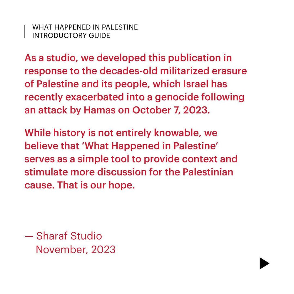 Book "What Happened in Palestine"