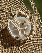 Shell