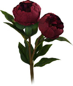 PEONY BUD BURGUNDY